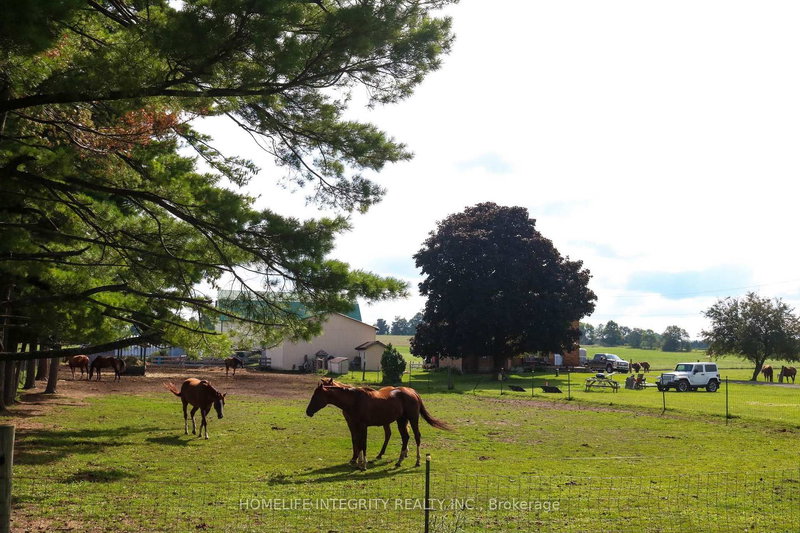 6409 10th Line, Essa, L0L 2N0 | Image 2