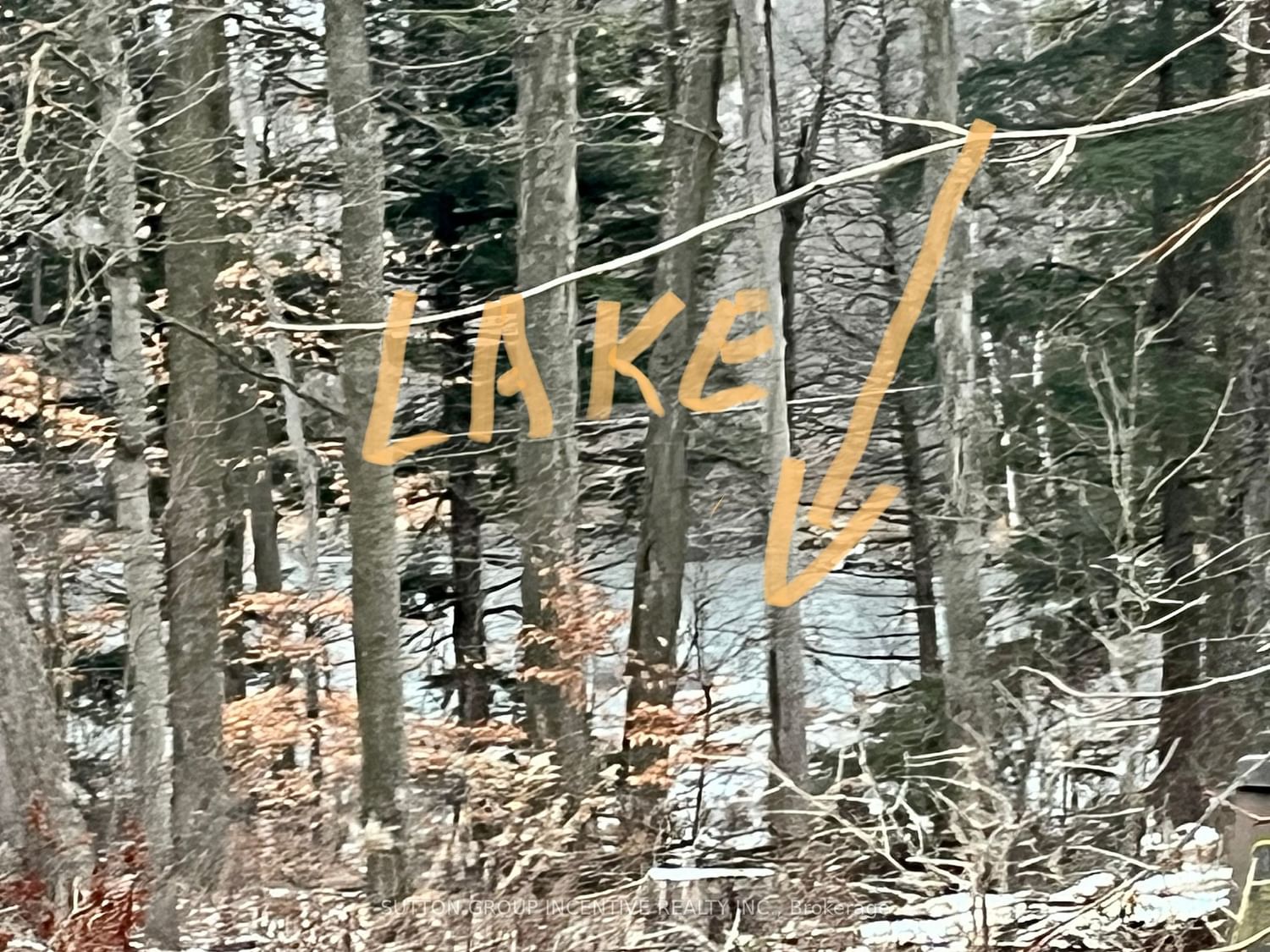 Listing Image 7