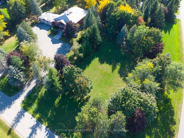 87 Scott Crescent
