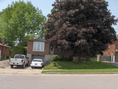 166 Collings Ave, Bradford West Gwillimbury, L3Z1W1 | Image 2