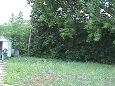 339 Taylor Mills Dr N, Richmond Hill, L4C2T8 | Image 3