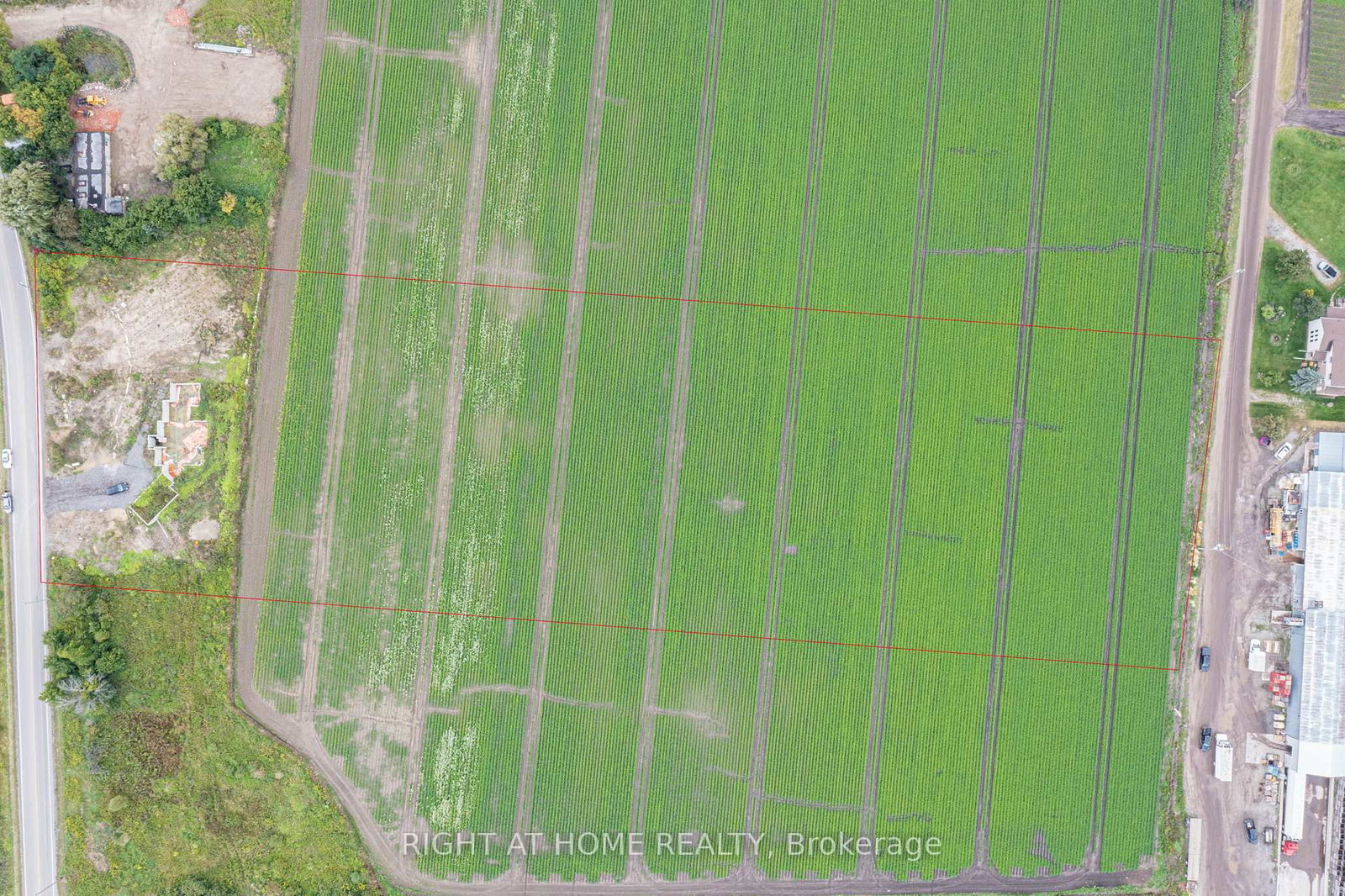 Listing Image 11