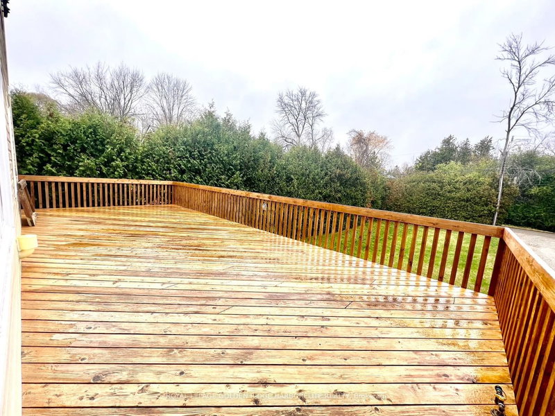 11 Red Robin Rd, Georgina, L4P 3E9 | Image 3