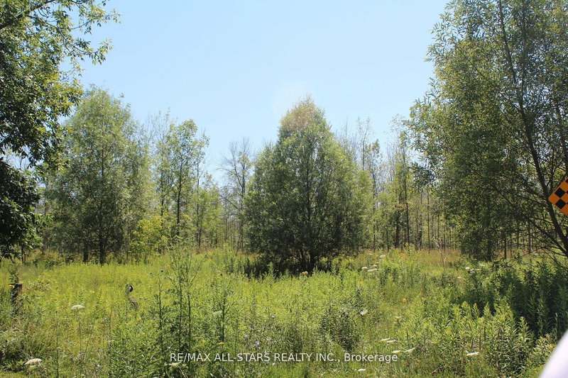 0 Metro Rd, Georgina, L4P 3G1 | Image 3