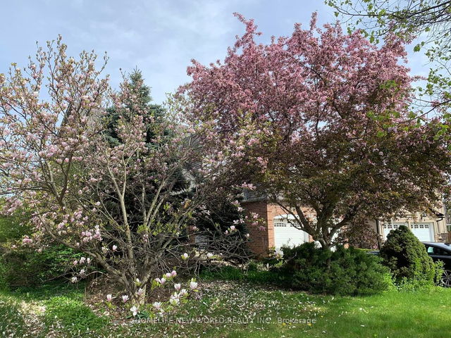 15 Marylebone Crescent
