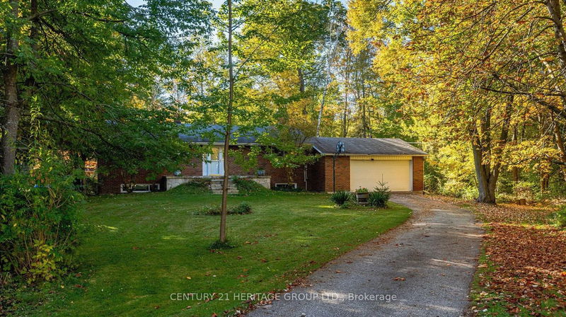 home for lease on 11 Morgans Road