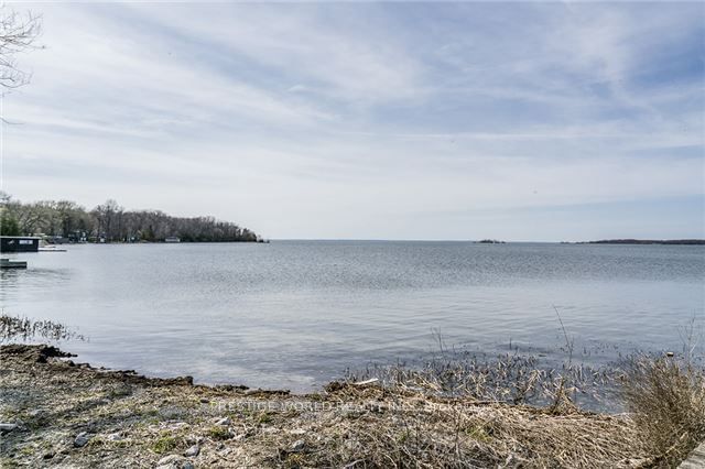 7645 Black River Rd  Georgina, L0E 1N0 | Image 5