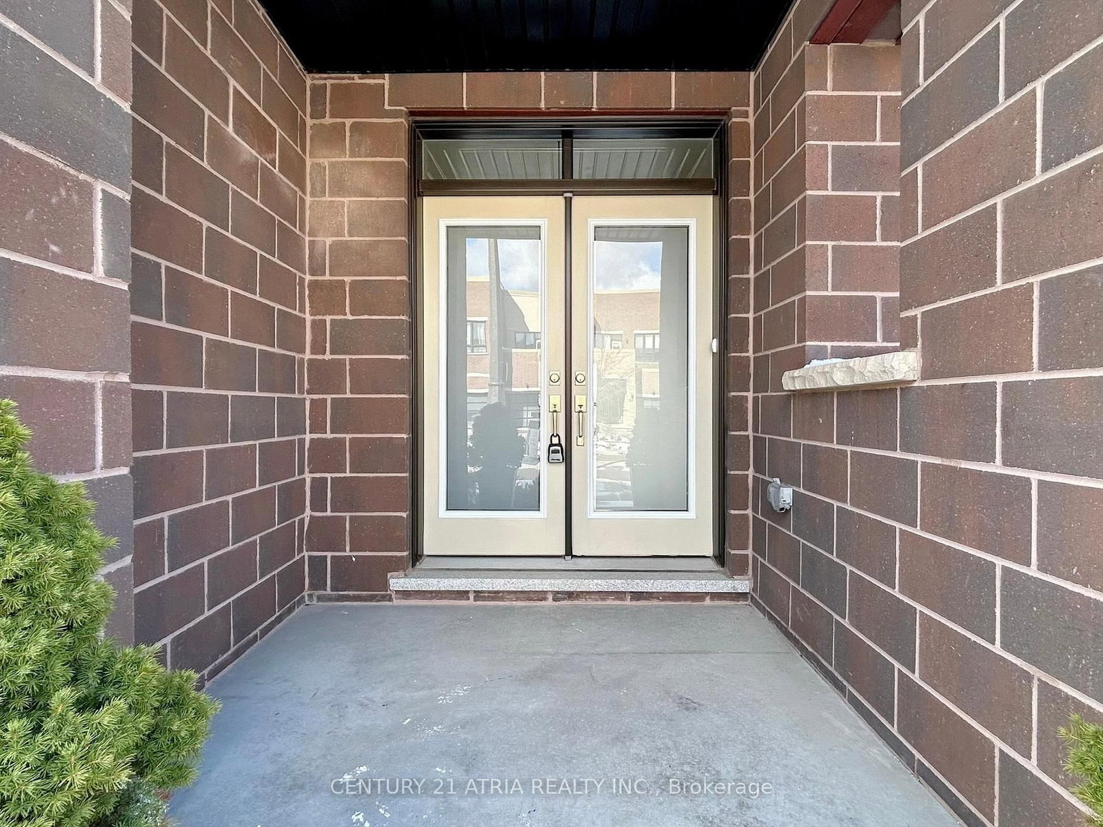 123 Anchusa Drive - Photo 2
