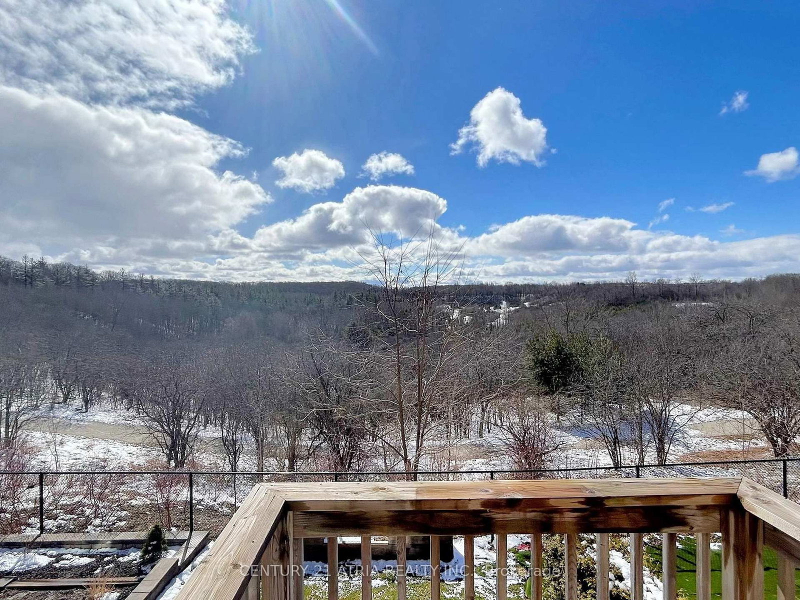 123 Anchusa Drive - Photo 7