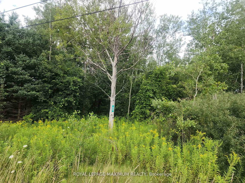 20223 Bathurst St, East Gwillimbury, L9N 1N3 | Image 2