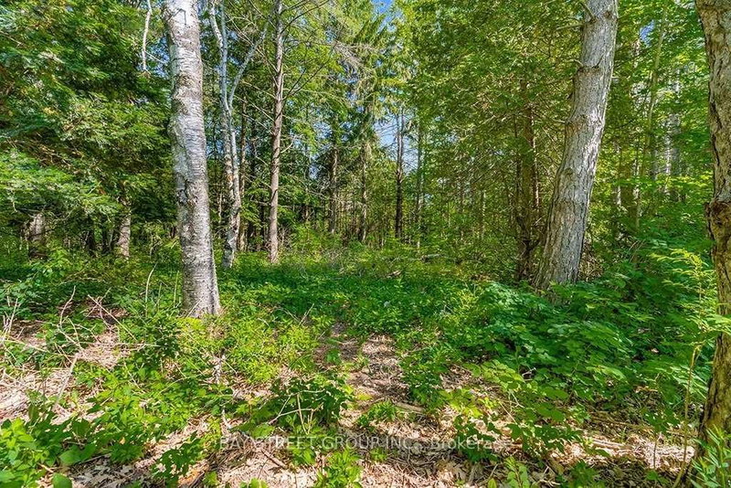 3358 Crescent Harbour Rd, Innisfil, L9S 2Y8 | Image 3