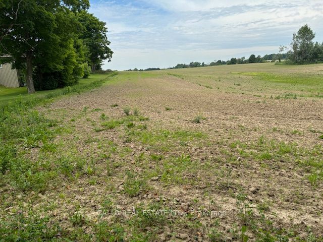 Property at N/A Concession 2