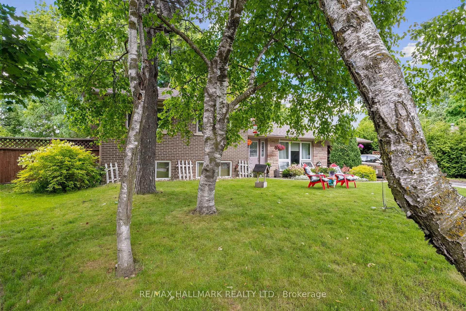 Listing Image 4