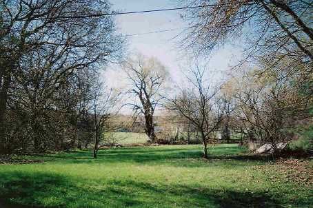 8061 Main St, Adjala-Tosorontio, L0M1J0 | Image 3