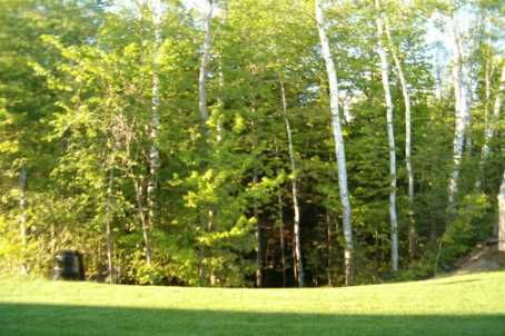 87 Truax Cres, Essa, L0M1B4 | Image 2