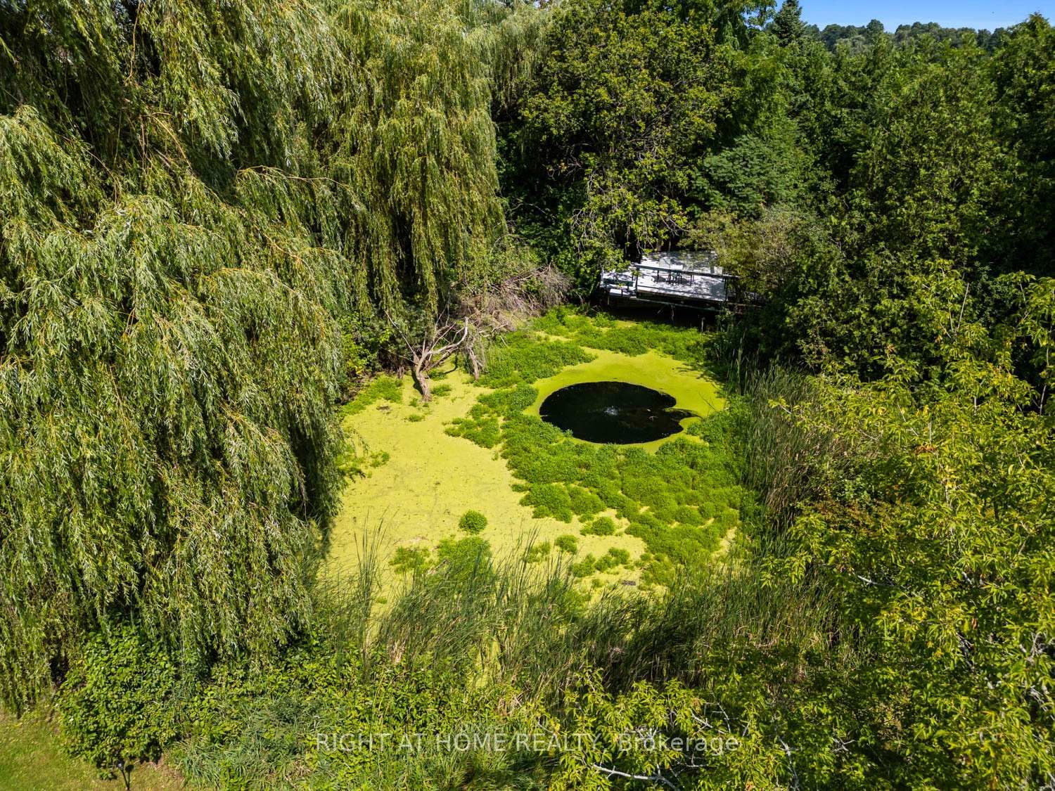 Listing Image 38