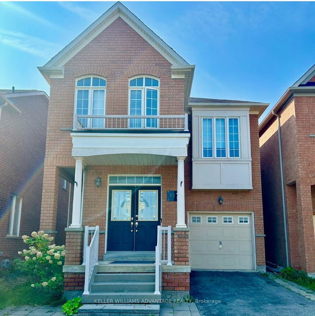 Basemen - 117 Mintwood Road