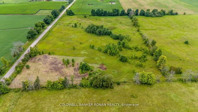 3185 Concession Rd 5 — photo 6