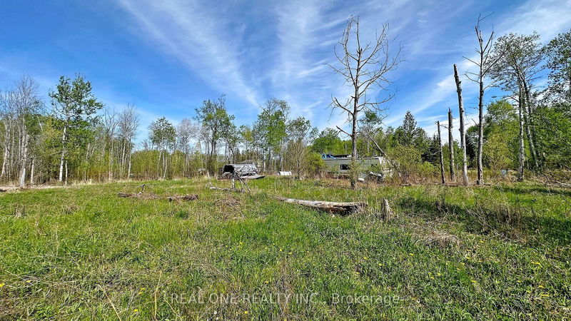 4778 Holborn Rd  East Gwillimbury, L0G 1N0 | Image 3