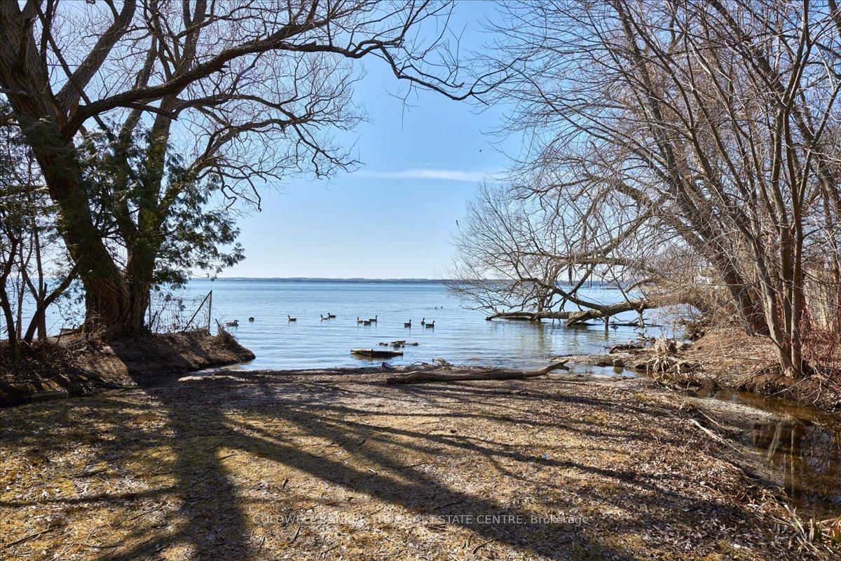 Listing Image 33