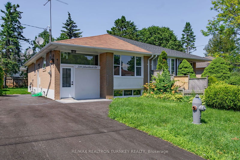 home for lease on Lower-239 Silverbirch Drive