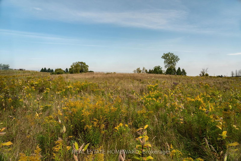 1430 COUNTY RD 50 S, Adjala-Tosorontio, L0N 1P0 | Image 2