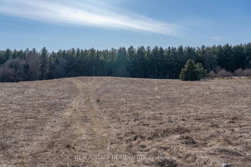 1430 COUNTY RD 50 S, Adjala-Tosorontio, L0N 1P0 | Image 3