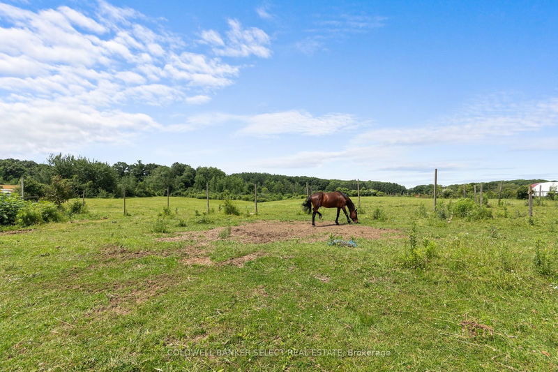 14880 Jane St  King, L7B 1A3 | Image 2