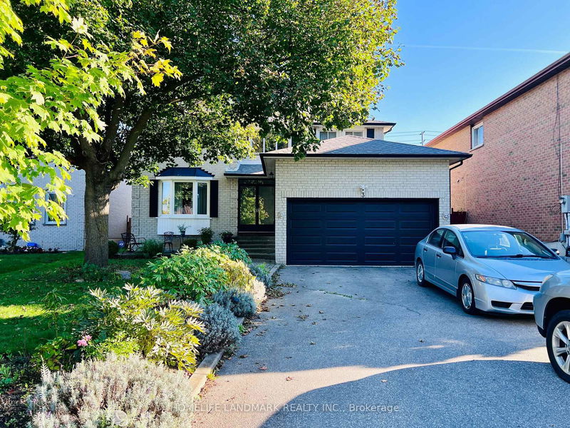 home for lease on Bsmt-3 Elston Court