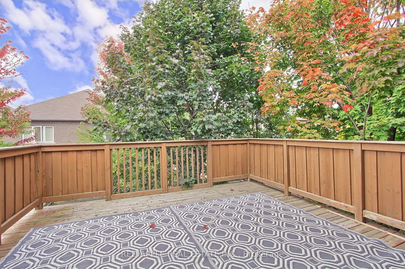 371 Woodspring Ave  Newmarket, L3X 3H1 | Image 21