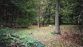 6685 Mcniven Rd, Burlington, L0P1G0 | Image 3