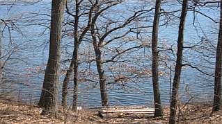 110 Cow Island E, Otonabee-South Monaghan, K0L1B0 | Image 3