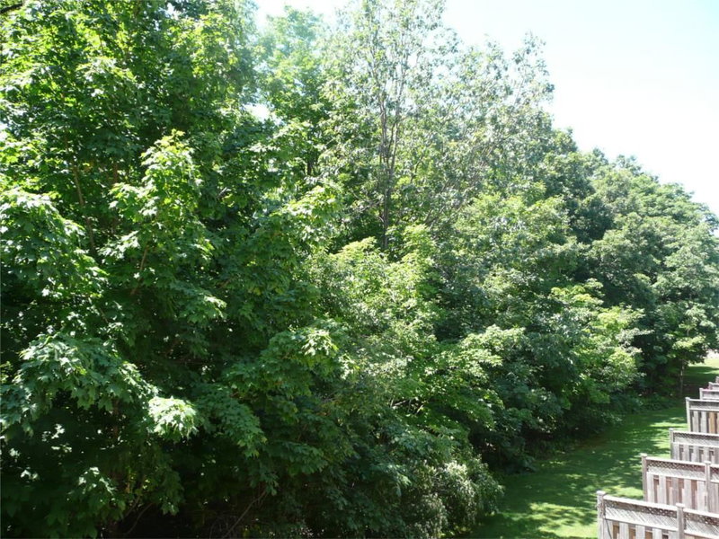 65 - 3480 Upper Middle Rd, Burlington, L7M 4S1 | Image 2