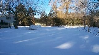 393 Maple Grove Dr, Oakville, L6J4V8 | Image 2