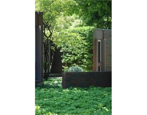 31 Auchmar Rd, Hamilton, L9C 1C6 | Image 2