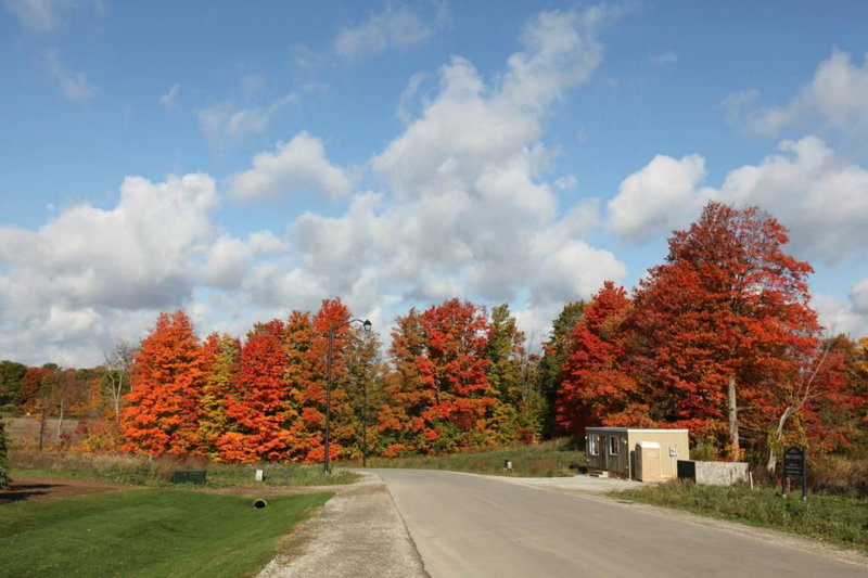 Lot 4 - 2606 Harvestmoon Lane, Burlington, L7P0N5 | Image 2