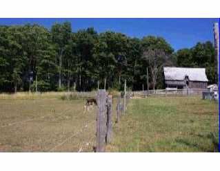 1424 Klondike Park Rd, Clearview, L0M 1S0 | Image 3