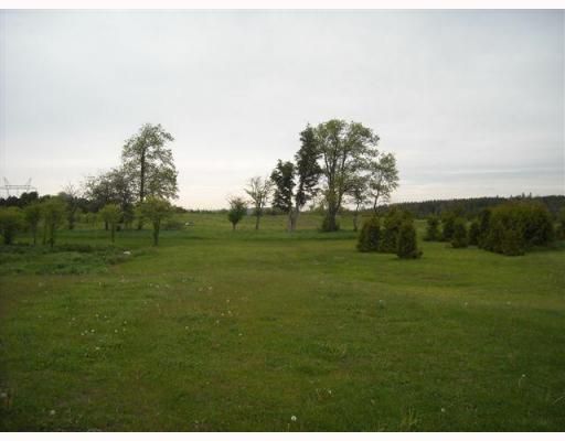 14 Pioneer Ridge Crt, Essa, L0L 1N0 | Image 3