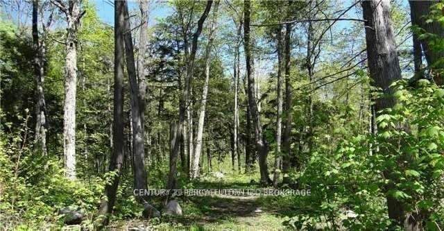 95 Nippissing Ridge Road
