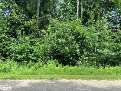 LOT 524 TALL PINES Dr, Tiny - Rural Tiny image-0-1