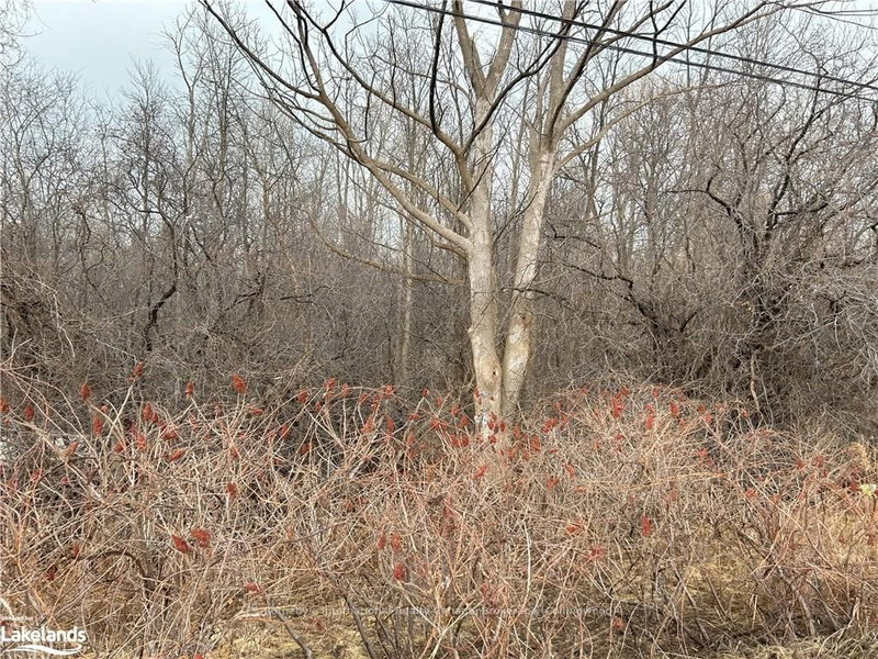 9736 BEACHWOOD Rd, Collingwood, L9Y 2Z1 | Image 2