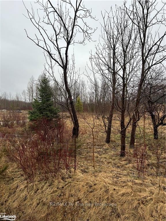 Vacant Land sold at 6255 VANCISE Court, Clearview, Rural Clearview, L0M 1S0 - MLS: S10438974