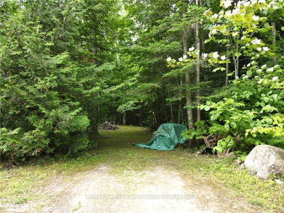 LOT 3 CHAMPLAIN Rd, Tiny - Rural Tiny image-0-1