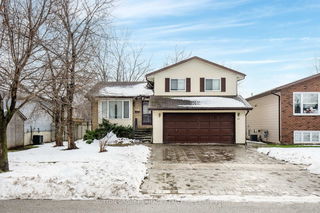 24 Dillon Drive
