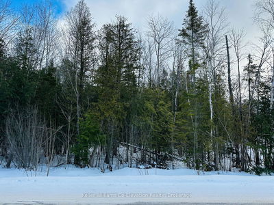 Lot 438 Champlain Rd, Tiny - Rural Tiny image-0-1