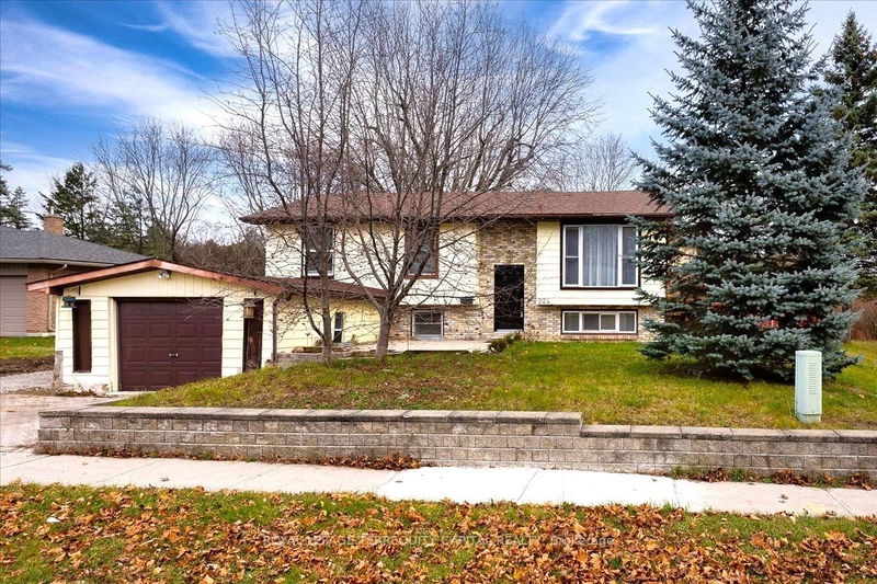home for lease on Lower-224 Walnut Crescent