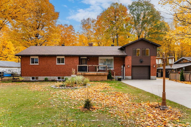 15 MUNDY Avenue