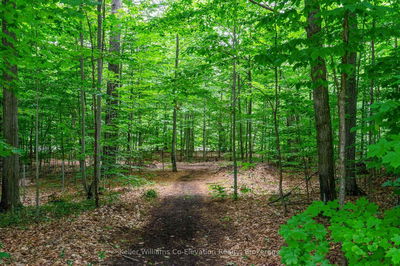 1240 METHODIST POINT Rd, Tiny - Rural Tiny image-0-4