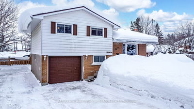 423 Mary St, Orillia - Orillia