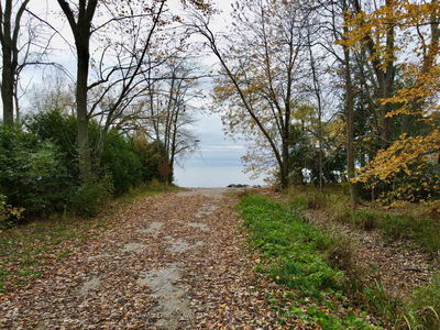 2501 Lakeshore Dr, Ramara - Rural Ramara image-0-3